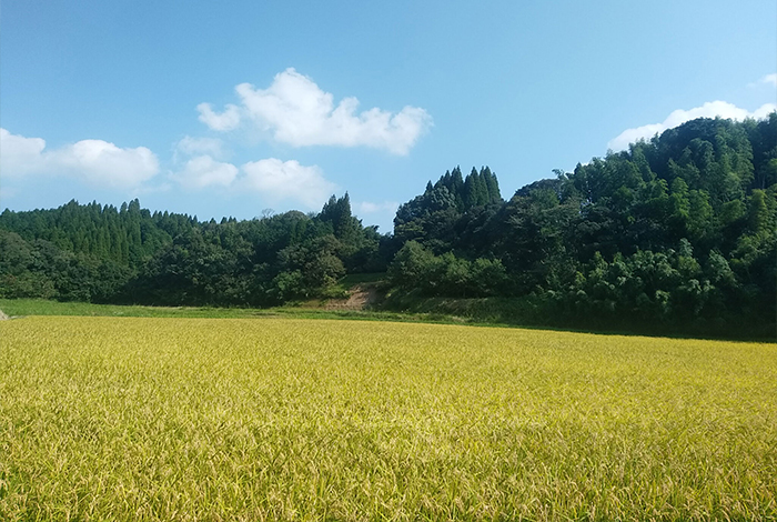 代表者あいさつ